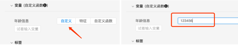 变量自定义_2